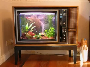 broken tv fish tank